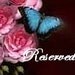 briseida ruiz RESERVED LISTING 9 Beaded Bow Applique 3.5 inch Rose Pink Suede Leather Embellished w Stones Butterfly Hair