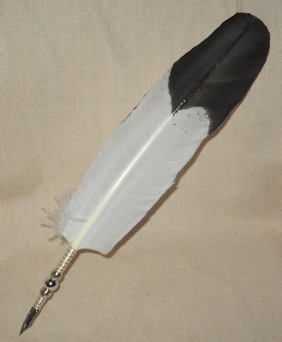 Hand Painted Mature Bald Eagle Feather Quill by SomethingWiccan