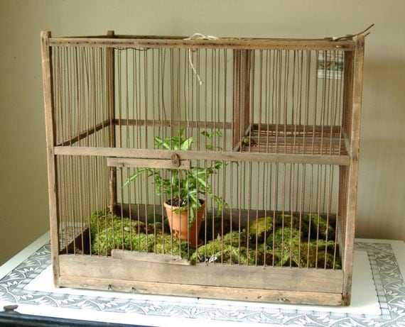 Rustic Bird Cages For Sale 1