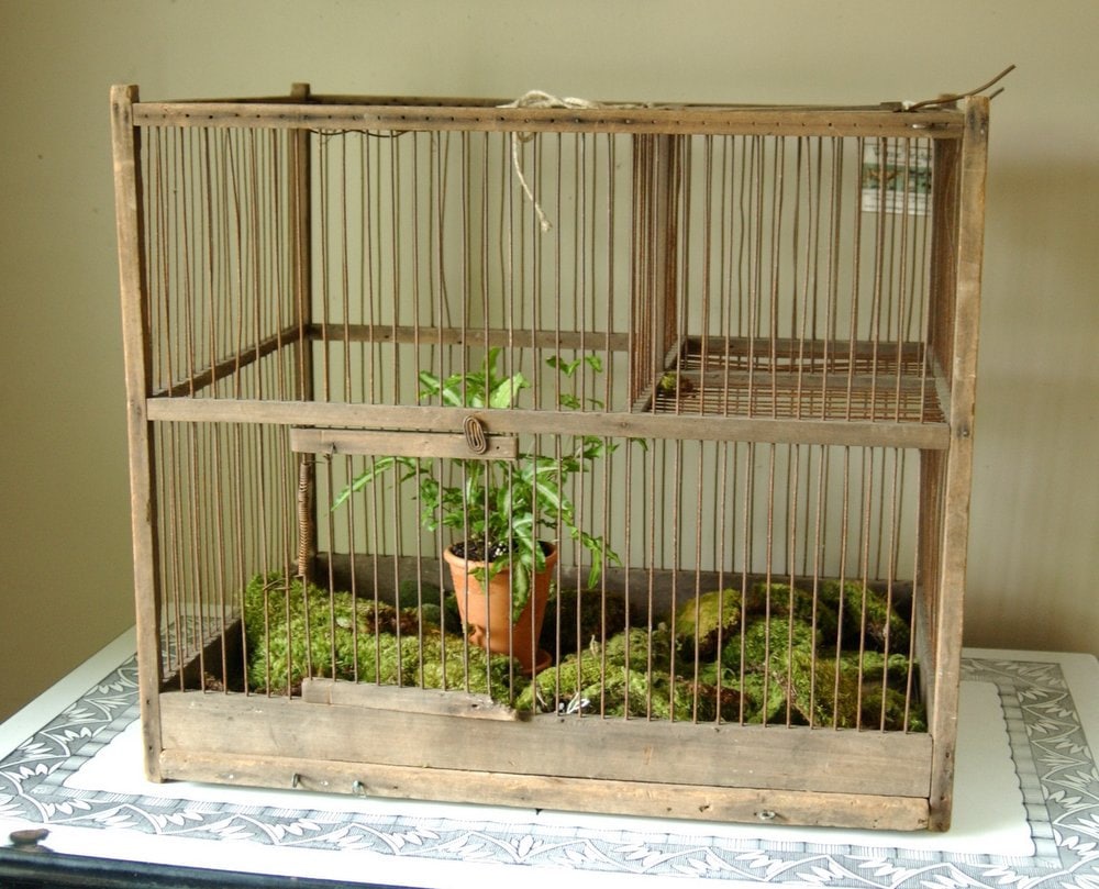 SALE Rustic antique wire wood bird cage by CountryAnthropology
