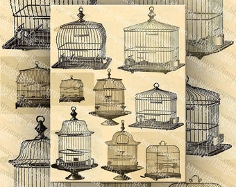 Bird cage clipart | Etsy