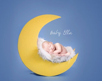 Newborn Baby Child Photography Prop Digital Backdrop for Photographers Love you to the Moon