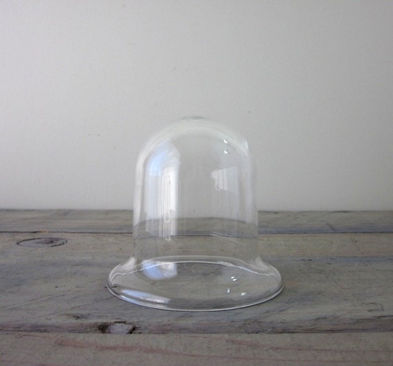 Small Vintage Glass Cloche Bell Jar Dome