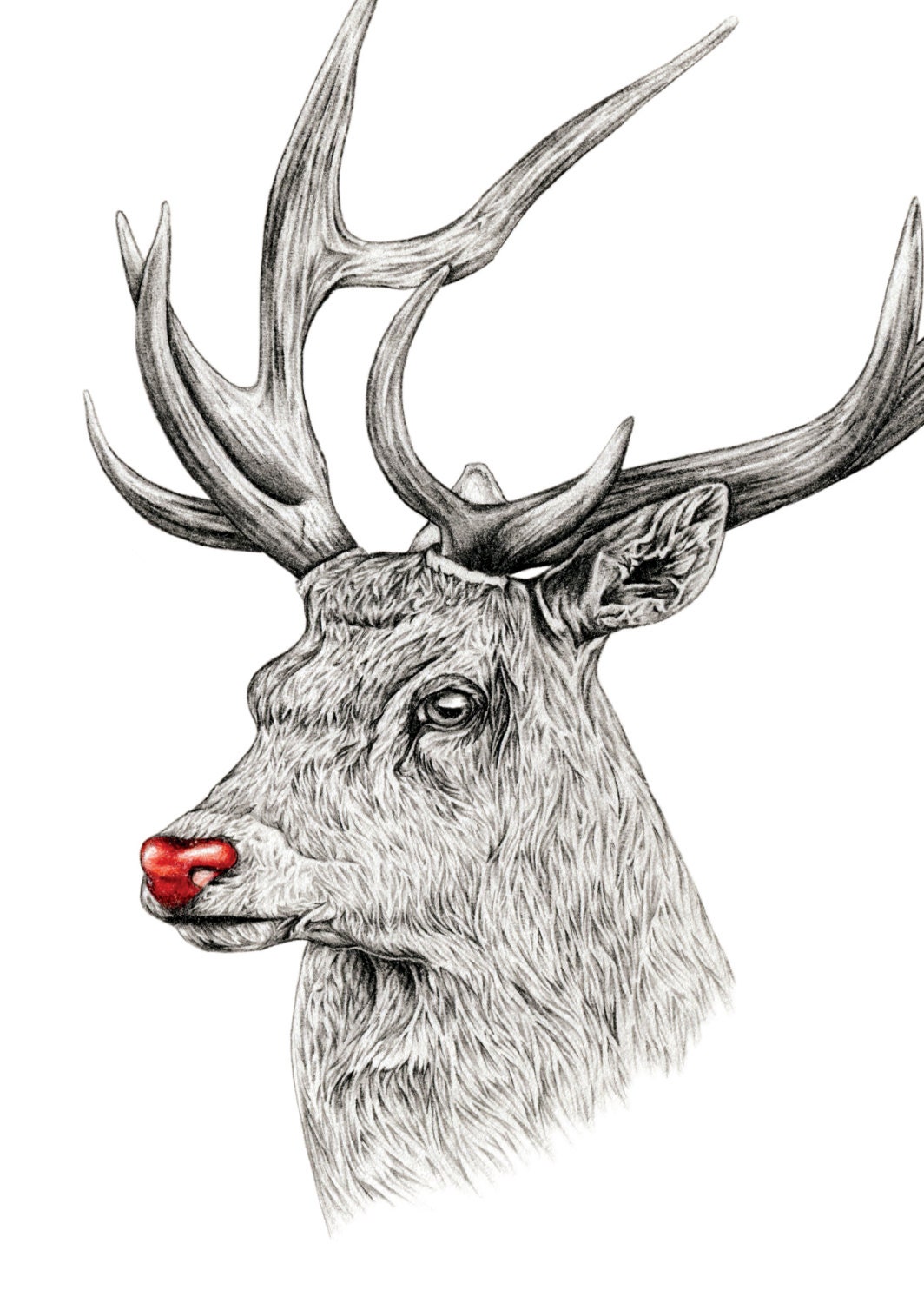 Christmas Deer Greetings Card Pack