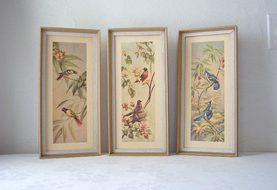 1950s framed bird prints r f harnett set of three robin