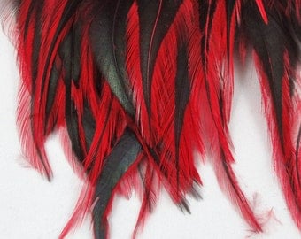 Feathers Red badger saddle hackles rooster feathers QTY 50 3 5 inches craft feathers laced feathers