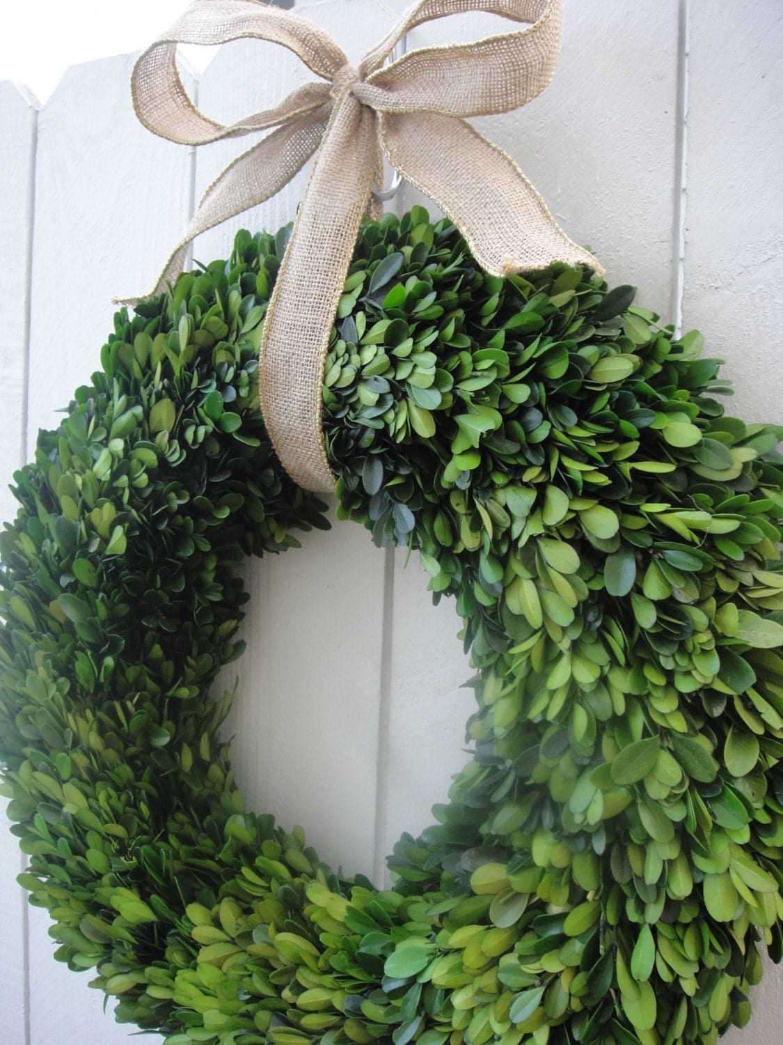 Preserved Boxwood Wreaths Boxwood Wreath Preserved