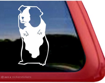 Guinea Pig | DC769PLL | High Quality Adhesive Vinyl Window Decal Sticker