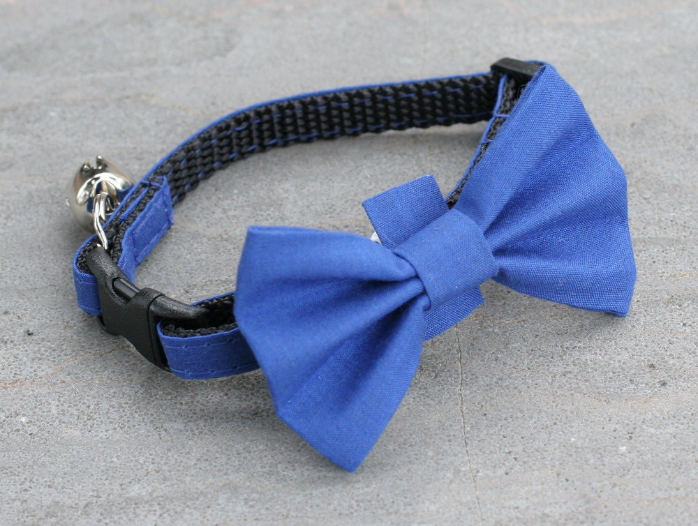 Blue Cat Collar Blue Collar Blue Bow Blue Bow Tie Bowtie
