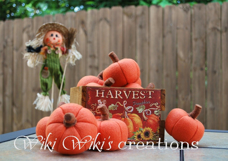 small plush pumpkins