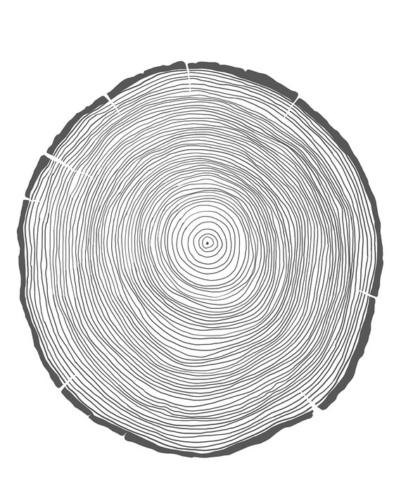 Items similar to Fine Art Print. Tree Rings. December 2, 2013. on Etsy