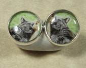 Nap Time Cat Stud Earrings