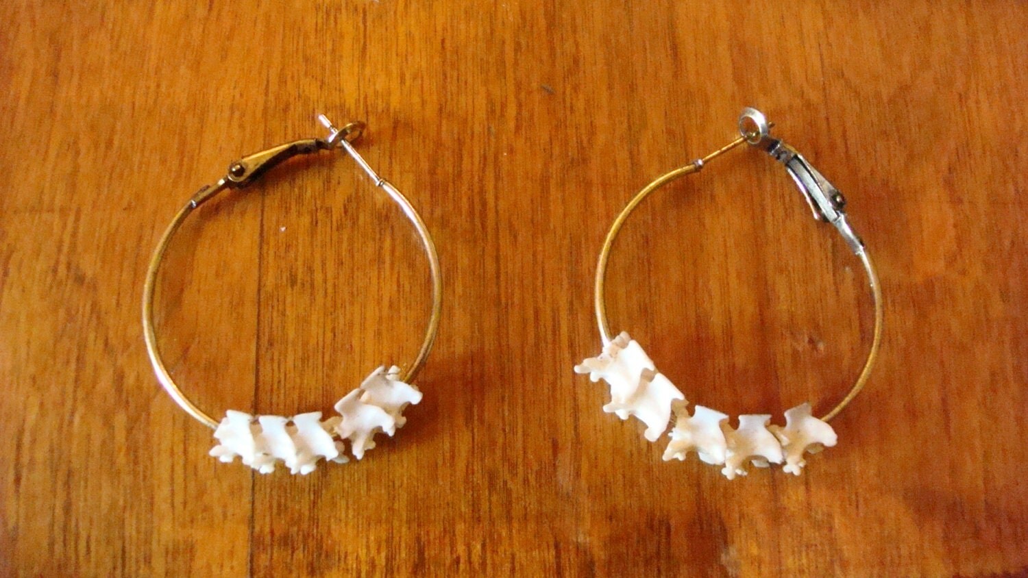 Snake Bone Jewelry Earrings real bone by OutofDoors on Etsy