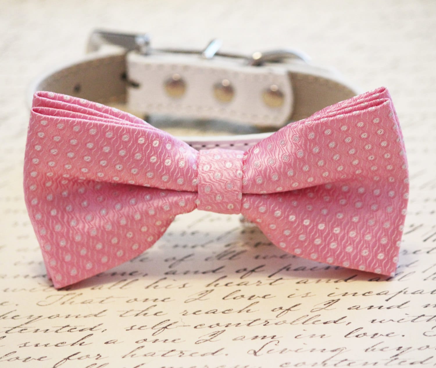 Pink Dog Bow Tie Pink attached to dog collar pink Bow Pink