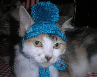 Crocheted Cat or Dog Hat with Scalloped Brim and PomPom Turquoise, Pink, Purple or Cream X Small or Small
