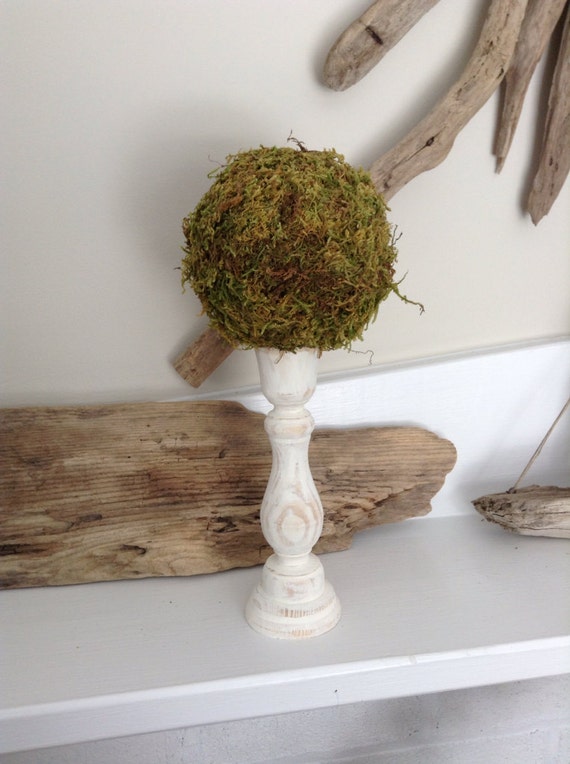 Items similar to Moss Topiary, Topiary, Moss Ball, (1