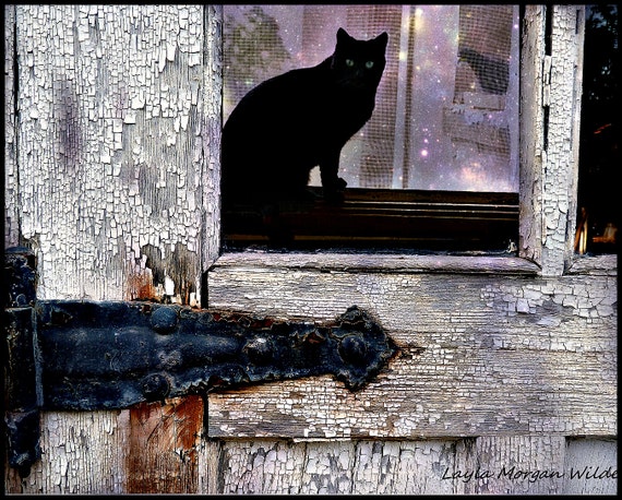 Black Cat Mystery Door