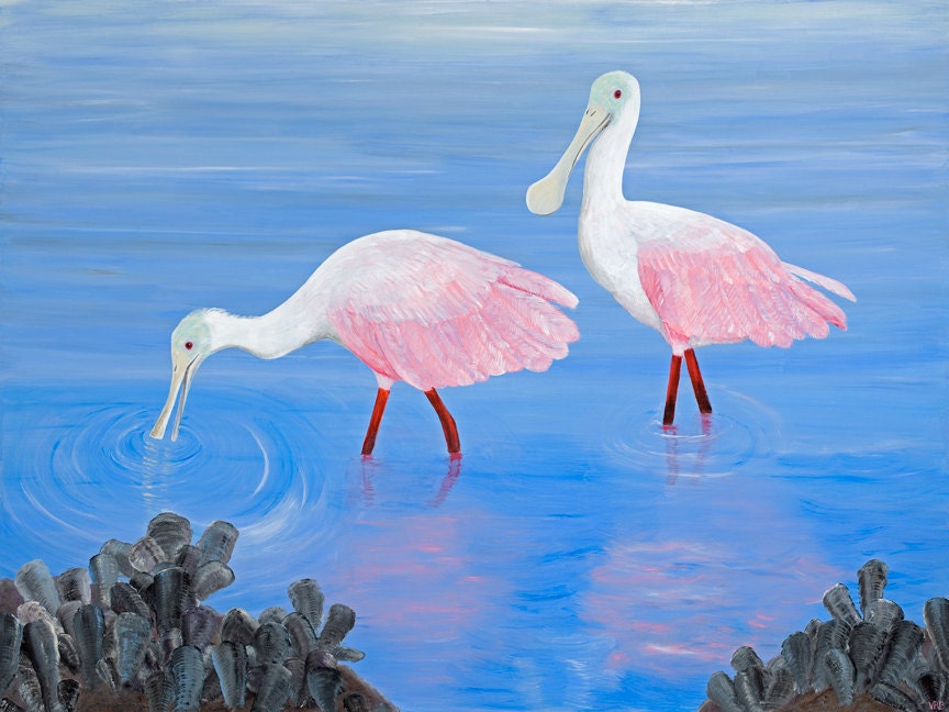 Pink bird Large bird wading bird ocean beach marsh Florida