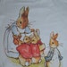 beatrix potter t shirt