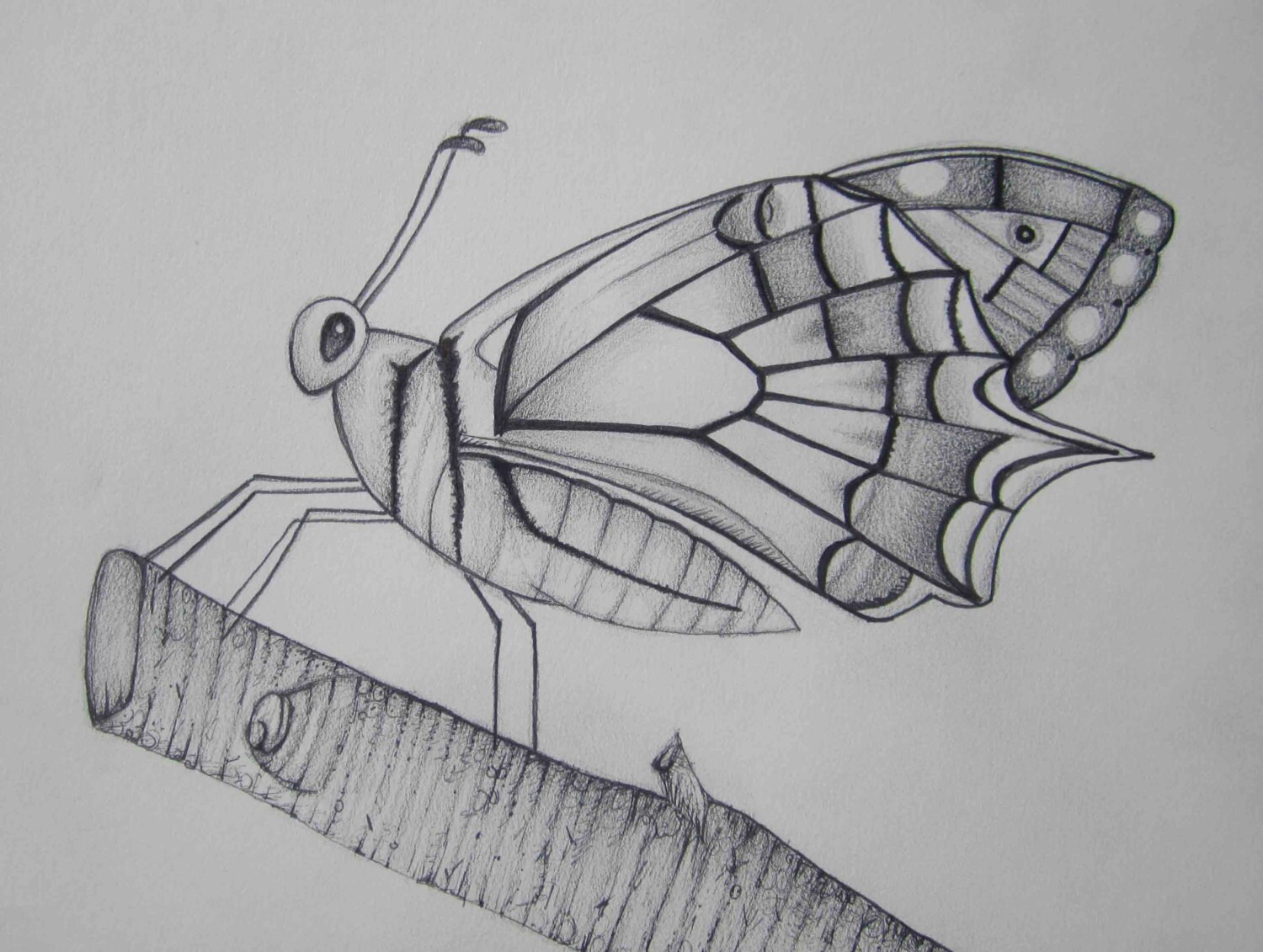 Lápiz arte trabajar mariposa en un palo en mixta dibujo