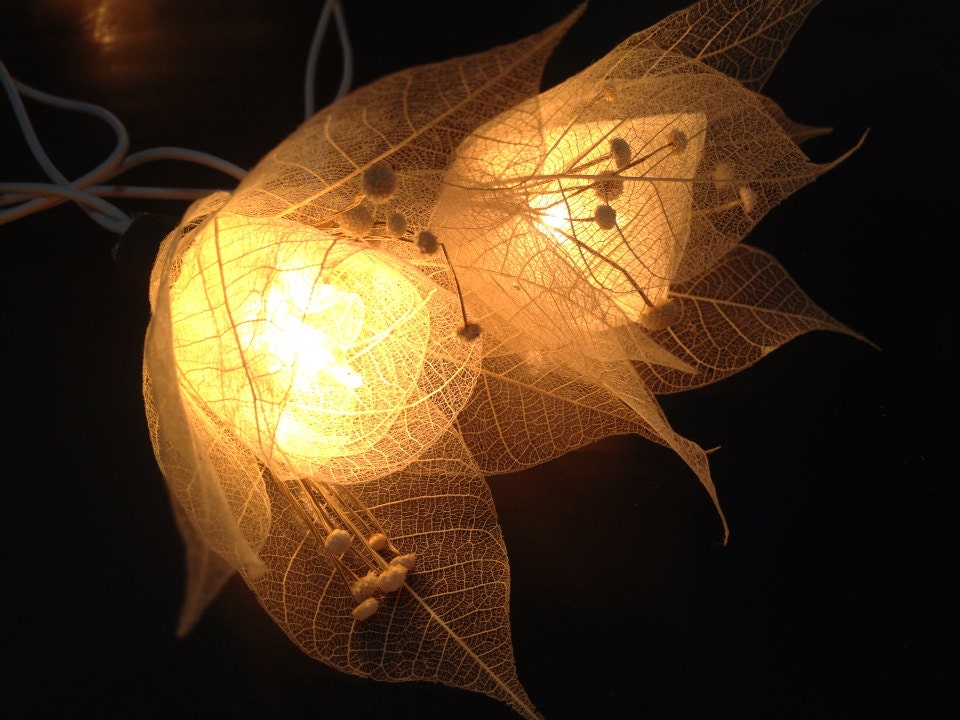 String Lights 20 White Natural Flower Leaves by fairylighting