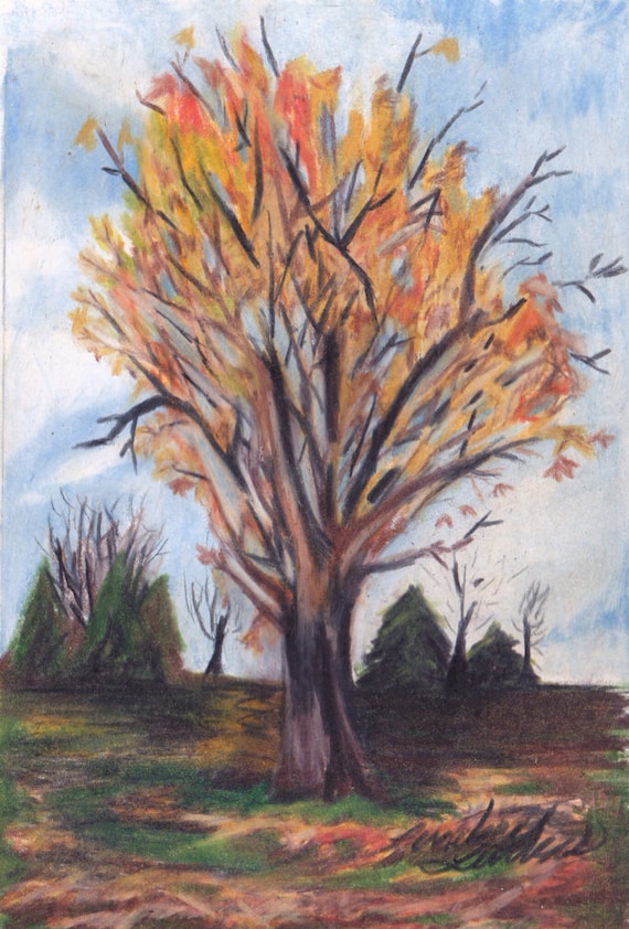 Fall Maple Tree original color pencil drawing in by LindseyJunkins