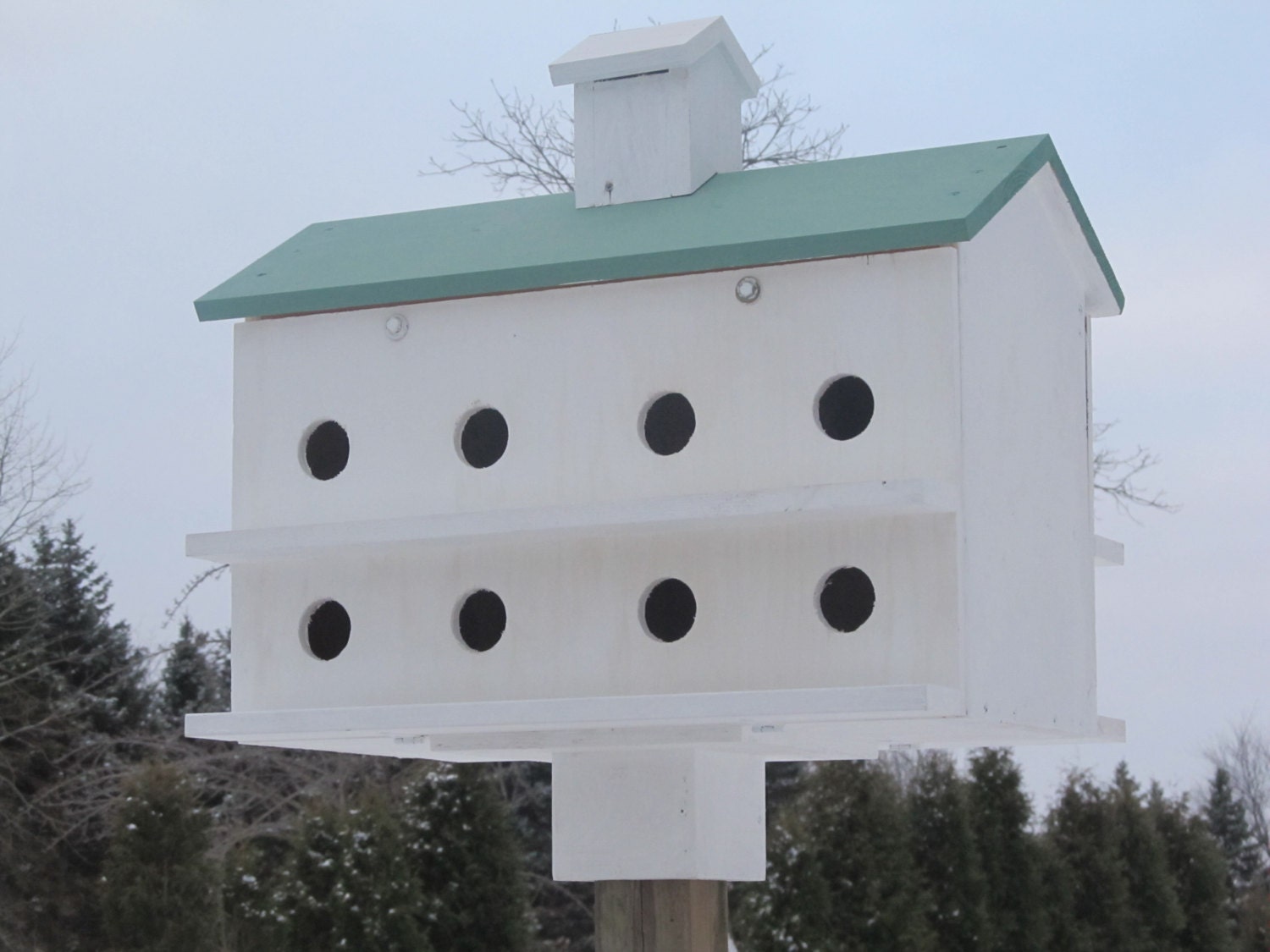 Purple Martin Birdhouse Plans Free Beautiful Martin Bird House Plans