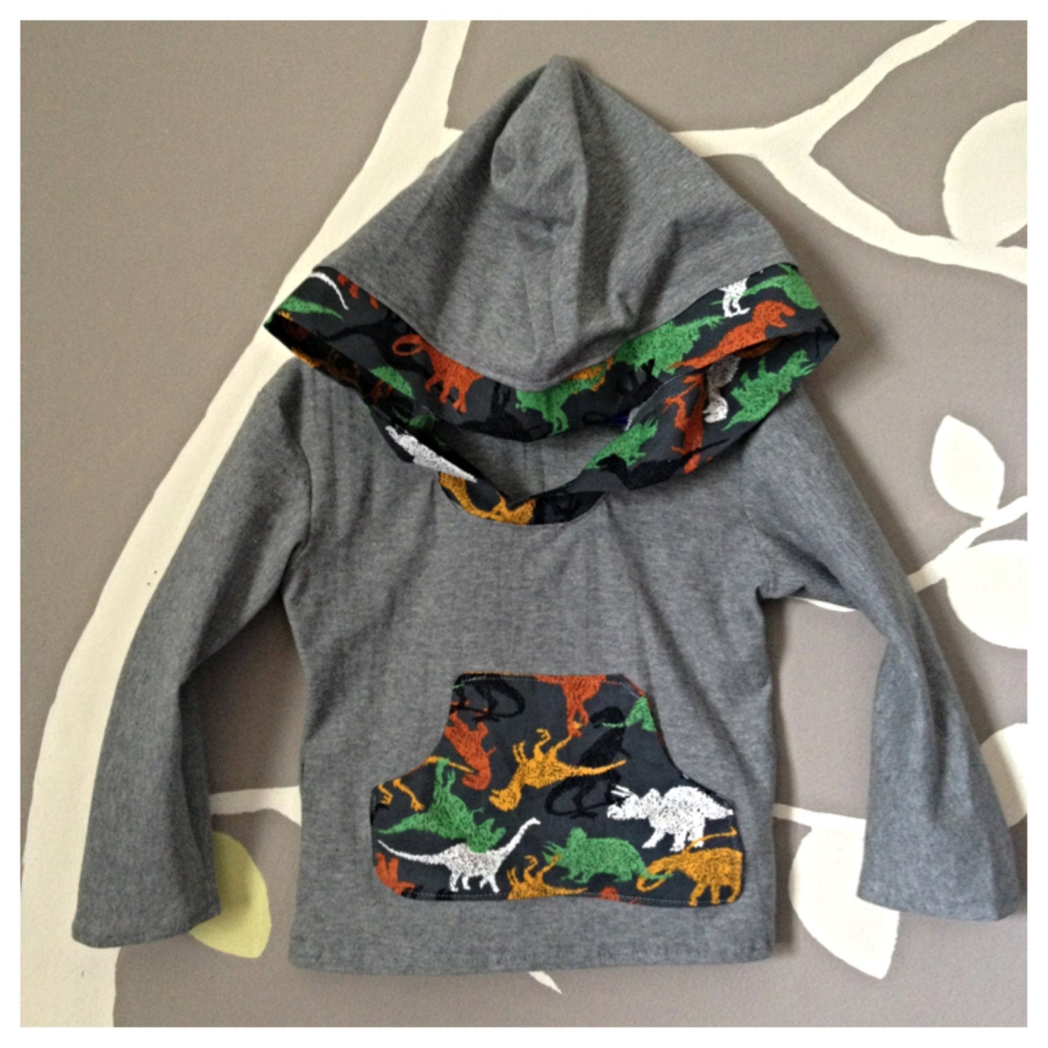 Boys hoodie dinosaurs fall clothes