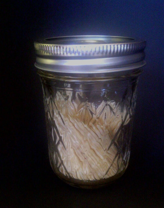 Mason Jar Toothpick Holder