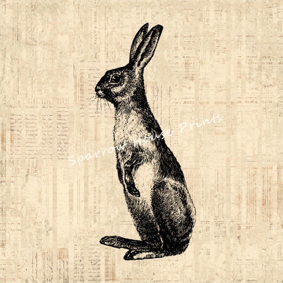 Rabbit Print Antique Artwork Bunny Home Decor Vintage Bunny