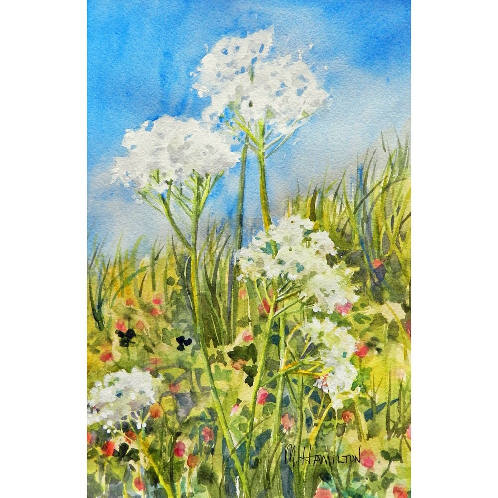 Flower Paintings Queen Anne's Lace Watercolor 11 x 9 by DreamON