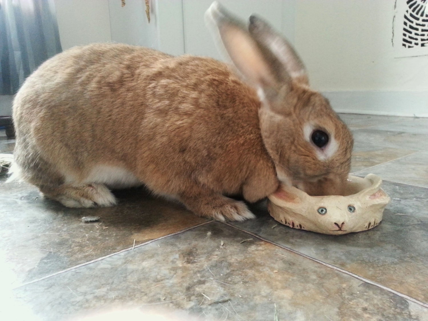 Custom Rabbit Shaped Rabbit Food Bowl by saraelynch on Etsy