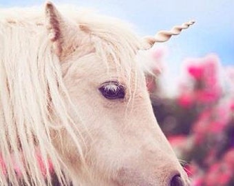 Unicorn Horn for Horses- Unicorn Browband, Unicorn Horn for Pony