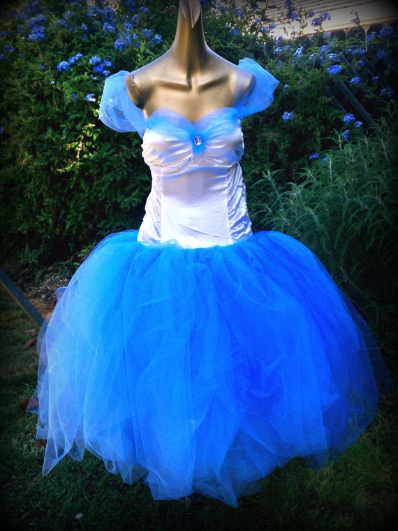 adult tutu dress Cinderella dress princess dress prom