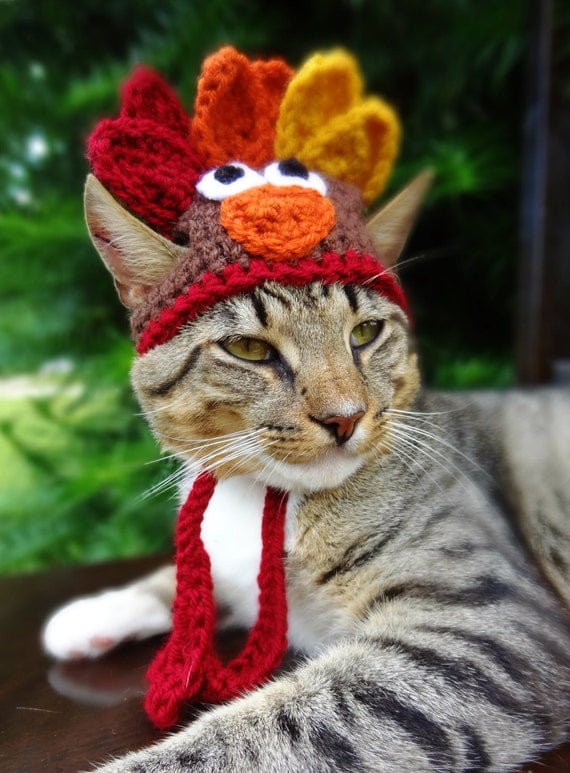 Cat Hat Costume - The Thanksgiving Turkey Hat for Cats and Small Dogs