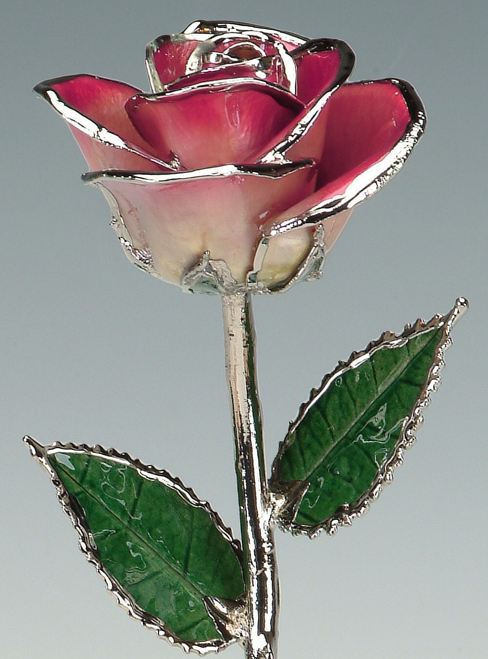 2-Tone Bright Red Platinum Rose by Living Gold Real Rose