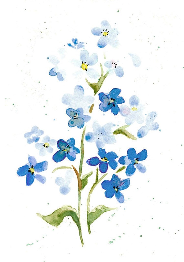 Forget Me Nots Print from Original Watercolor Pale by wrensroost