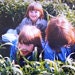 Friederike