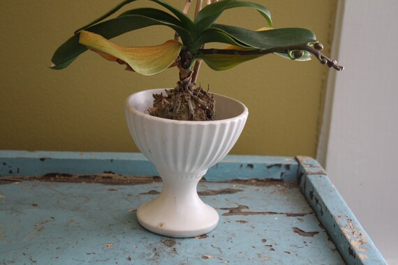 McCoy Floraline White Pedestal Planter. by Recy on Etsy