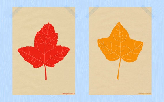 Items similar to Printable Fall Leaves Print Set 5 x 7 Autumn Leaf