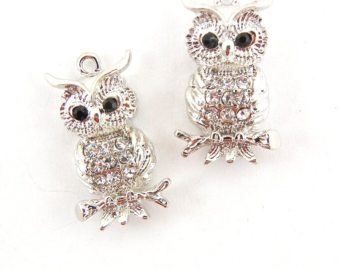 Pair of Rhinestone Encrusted Owl on Branches Charms