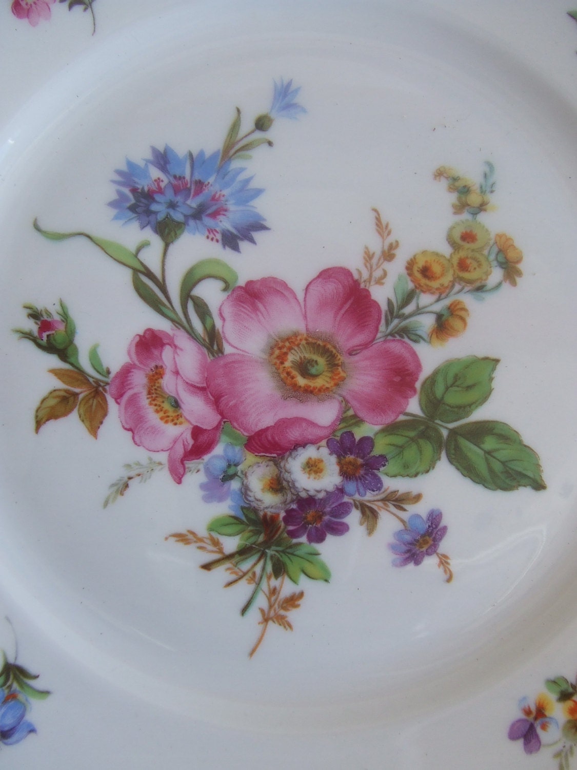 Vintage Rosenthal German Porcelain Handpainted Floral Plate