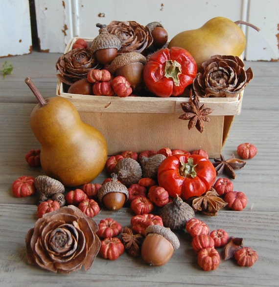 Fall Dried Botanical / Vase Filler / Rustic Autumn Decor