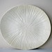 Hand-Carved, Large, Cream-Colored Stoneware Platter / Handmade Organic Sea Creature Plate / "SAND DOLLAR A"