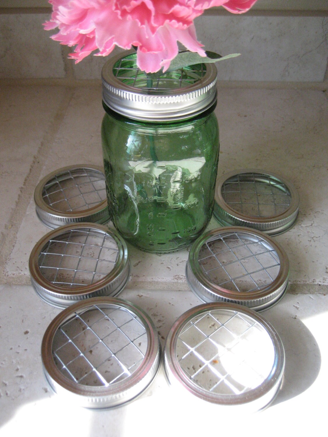 12 WIDE MOUTH Mason Jar Lids Flower Arrangement lids Frog
