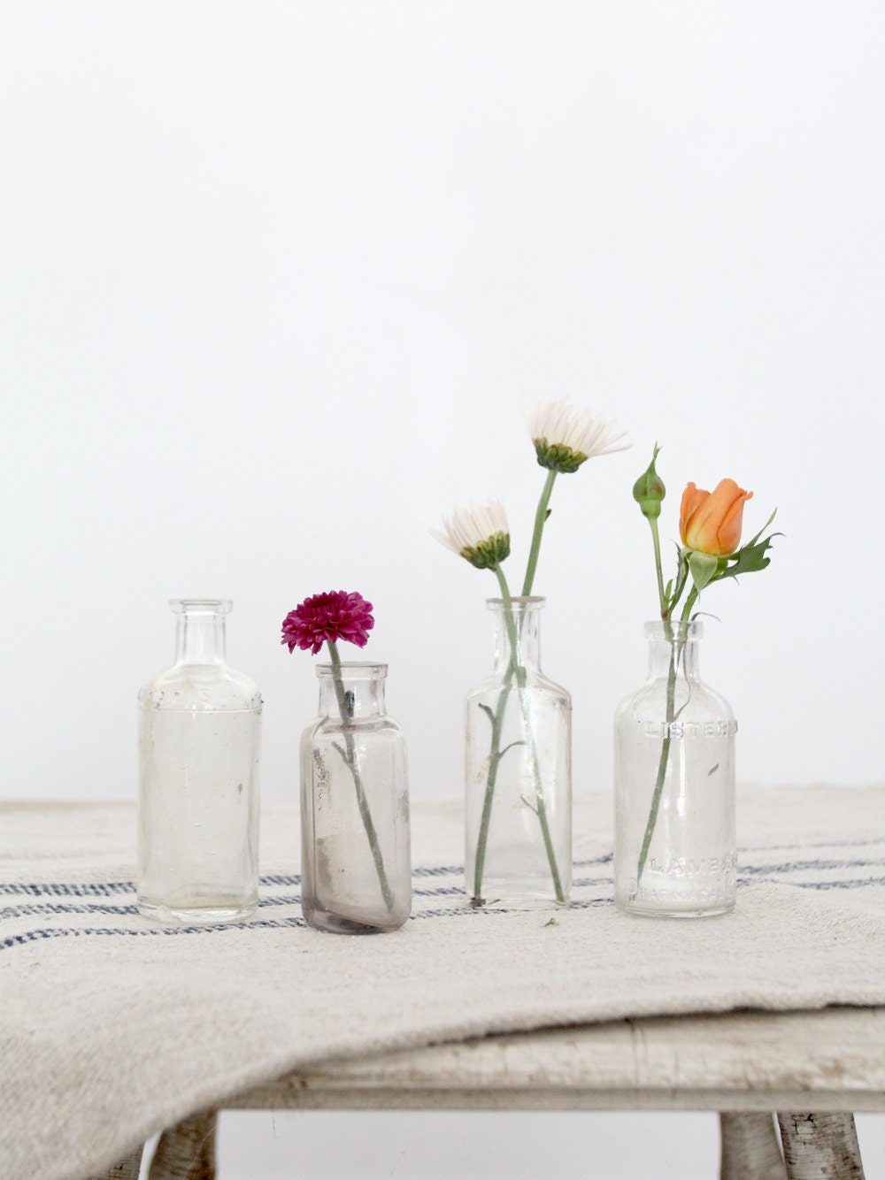 Antique Glass Bottle Collection / Clear Glass Apothecary