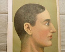 1900s color lithograph 4 part overlay Medical MANIKIN from antique 1905 medical book - head, brain, skull, litho. - il_214x170.540508531_pfa2