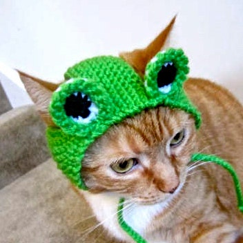 Frog Costume for Cats Hand Knit Cat Hat Cat Halloween