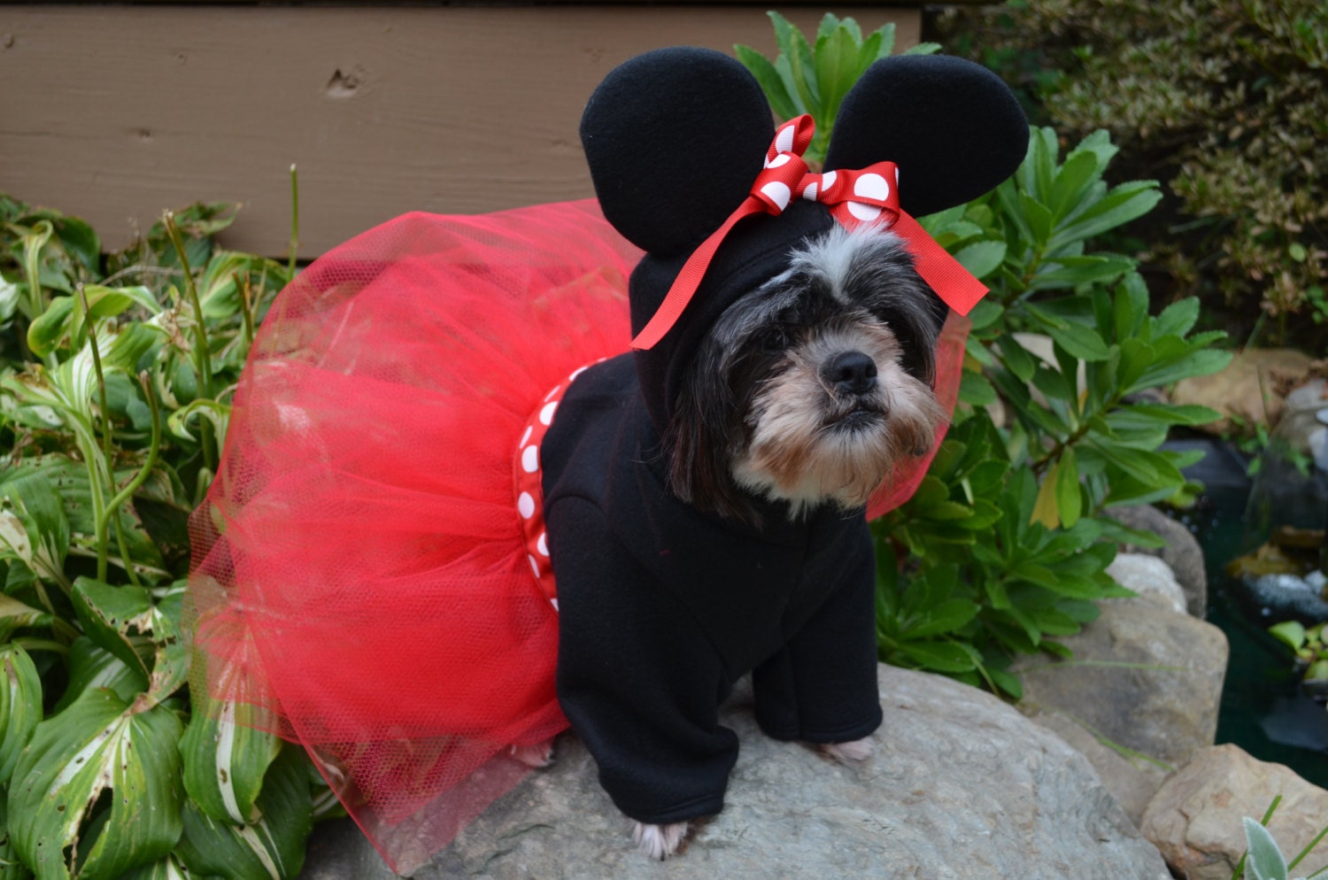 Hooded Dog Mouse Halloween Costume by sewdoggonecreative on Etsy