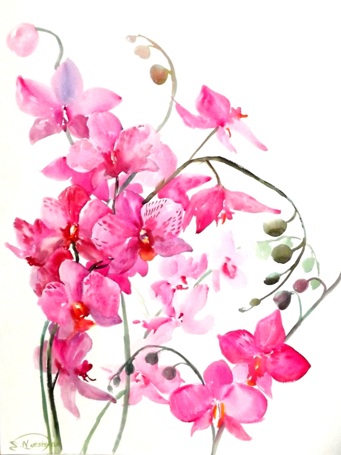 Orchids original large watercolor painting pink orchids 24